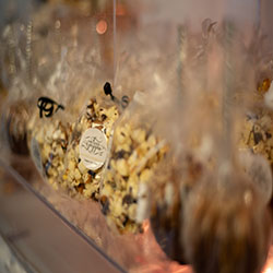 Pacific Ocean Sunset