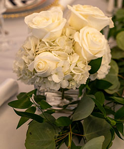 Pacific Ocean Sunset